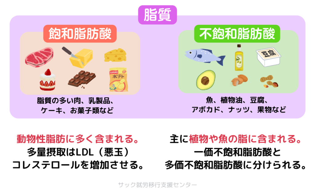 脂質に含まれる飽和脂肪酸と不飽和脂肪酸の違いについて説明