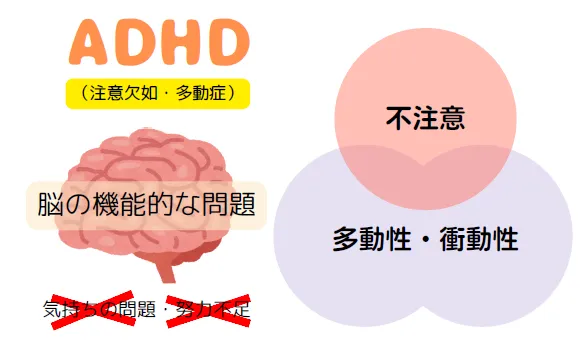 ADHDの特徴について解説!
